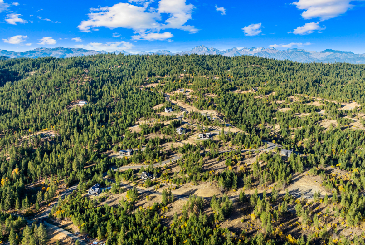 Skyline Ridge Aerial