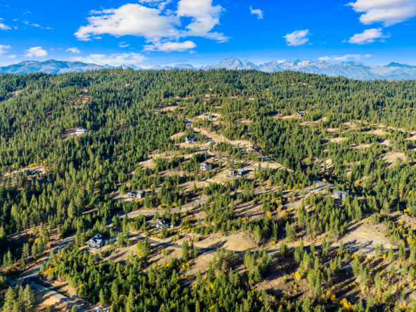 Skyline Ridge Aerial