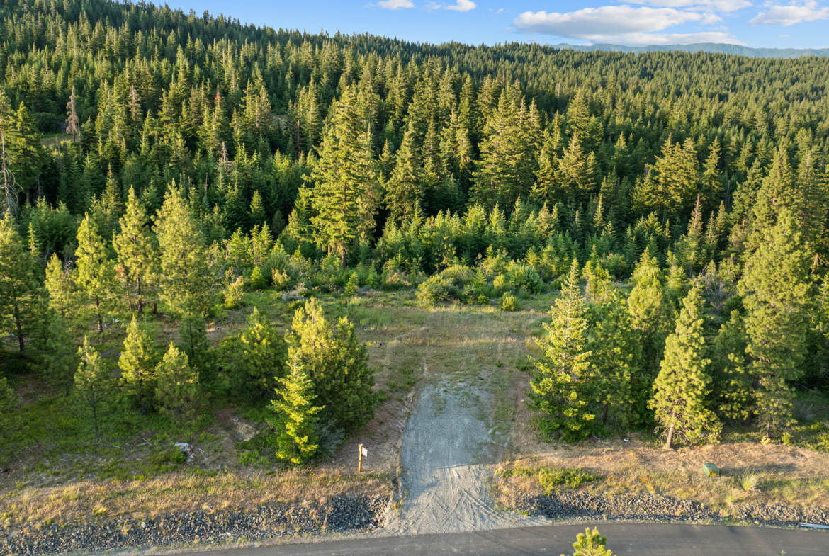Skyline Ridge Homesite 11 tree lined privacy with stunning tree and mountain views