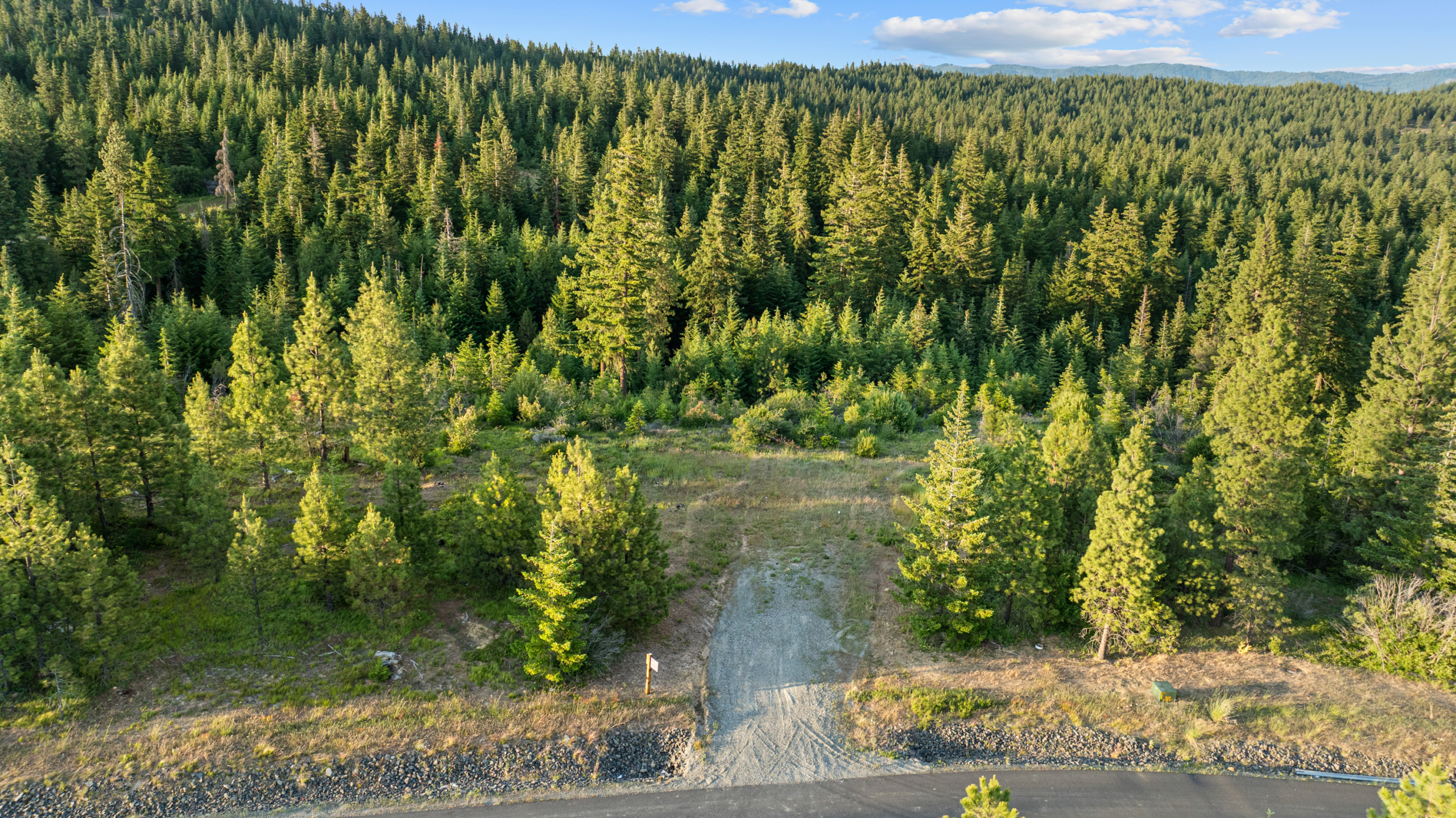 Skyline Ridge Homesite 11 tree lined privacy with stunning tree and mountain views