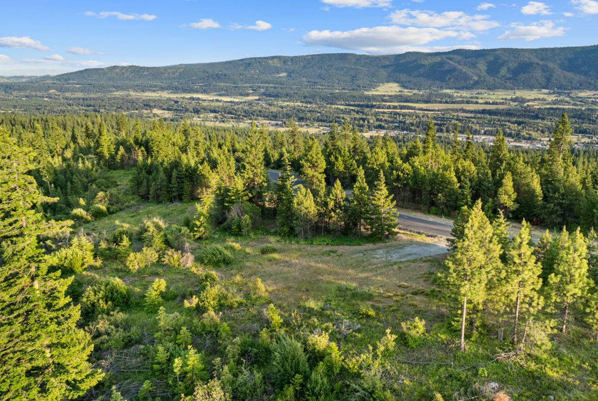 Gorgeous treelined view from homesite 11 in Skyline Ridge