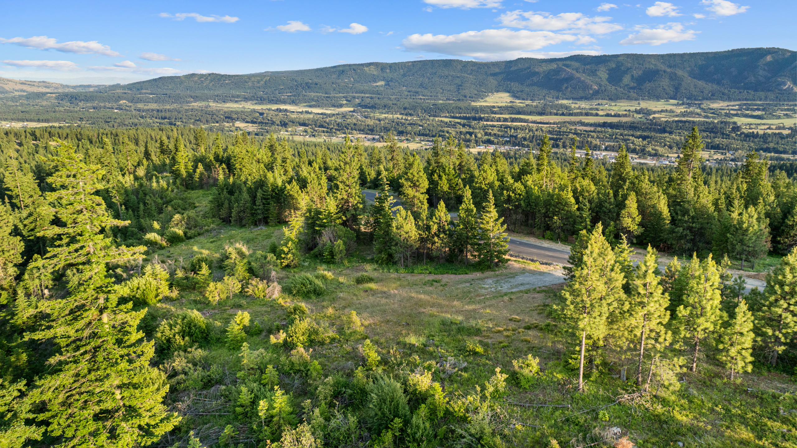 Gorgeous treelined view from homesite 11 in Skyline Ridge