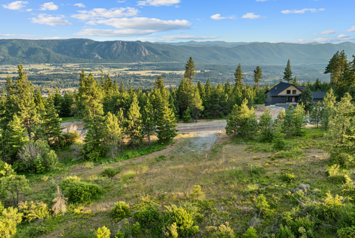 Homesite 11 ariel view of the mountains and trees surrounding the lot
