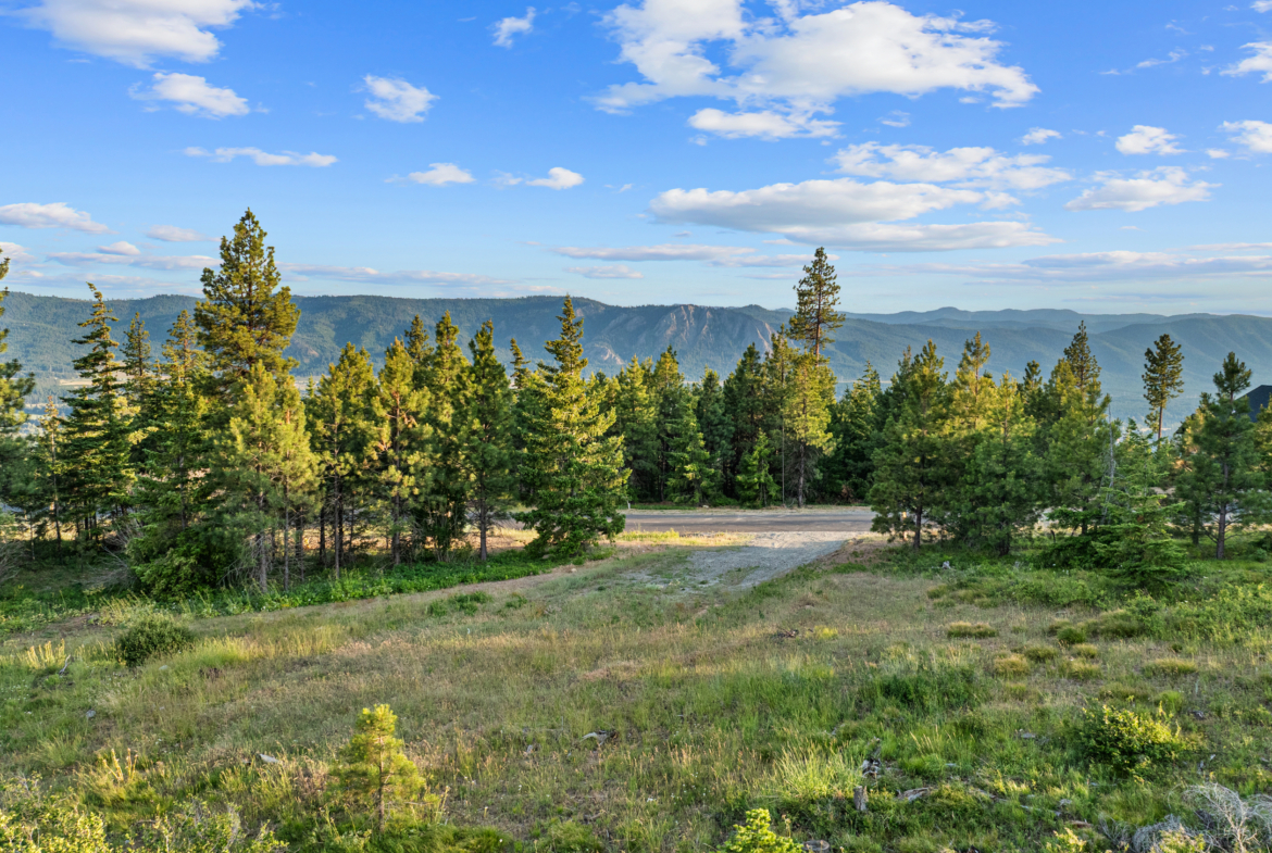 Homesite 11 in Skyline Ridge with forest views