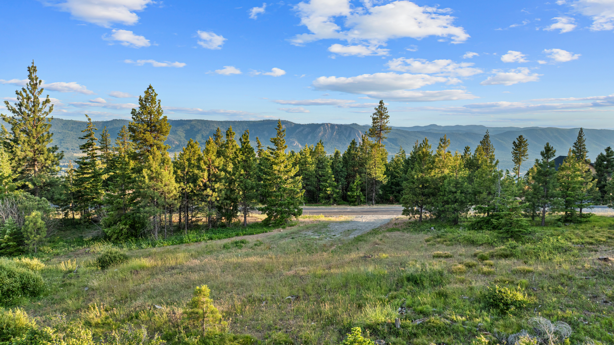 Homesite 11 in Skyline Ridge with forest views