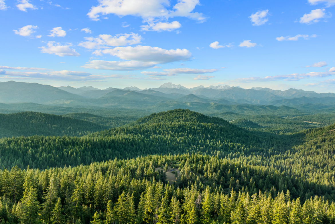 mountain view of teanaway area in Cle Elum from the SKyline Ridge lot 11